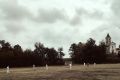 cricket 173