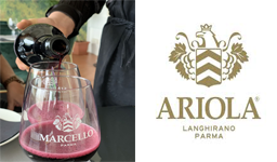 Ariola Vigne e Vini