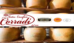Casearia Corradi