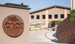Oineo Vini
