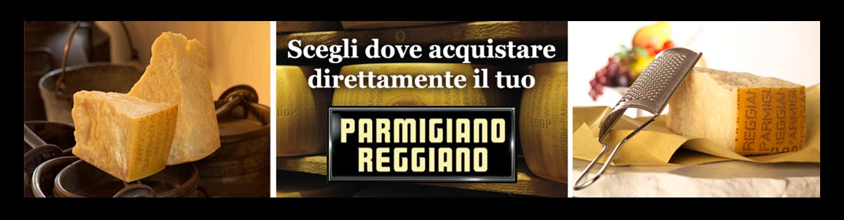 banner parmigiano reggiano
