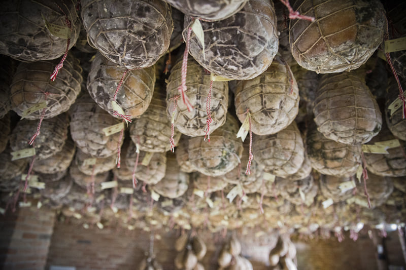 podere cadassa colorno