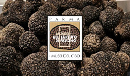 Museo del tartufo di Fragno