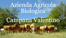 Azienda Agricola Biologica Campana Valentino