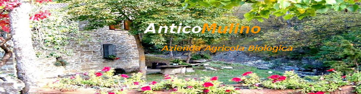 banner antico mulino