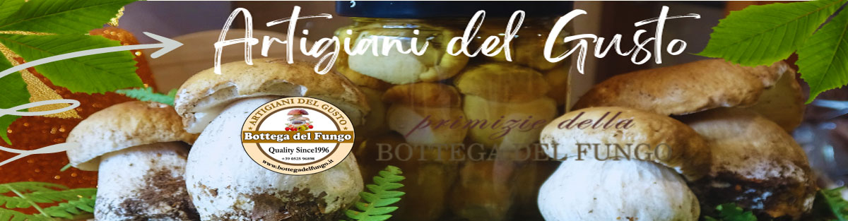 banner la bottega del fungo