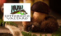 Sottobosco Valtaro
