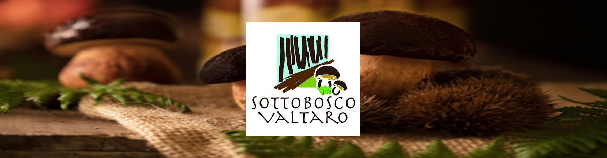 banner sottobosco valtaro