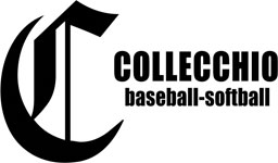 banner basebal collecchio