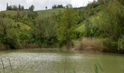 banner lago il tondino