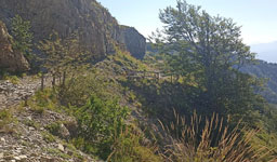 Monte Caio