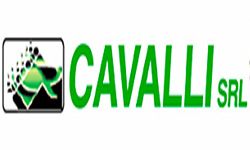Cavalli