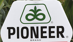 Pioneer