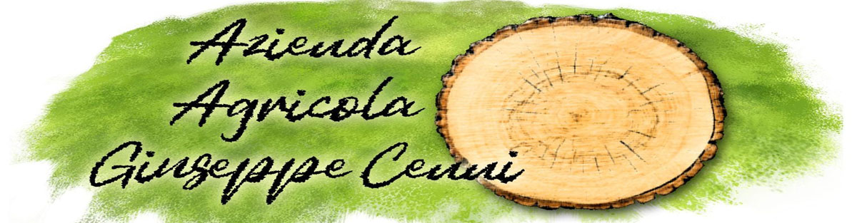 banner cenni giuseppe