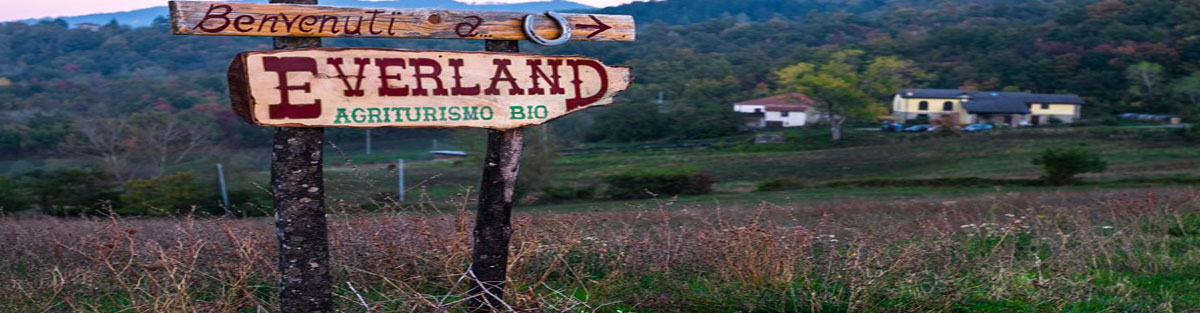 banner everland