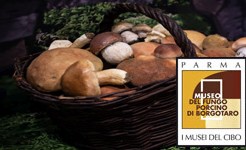 Museo del Fungo Porcino di Borgotaro Museo del Salame