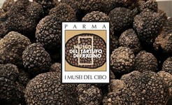 Museo del tartufo di Fragno